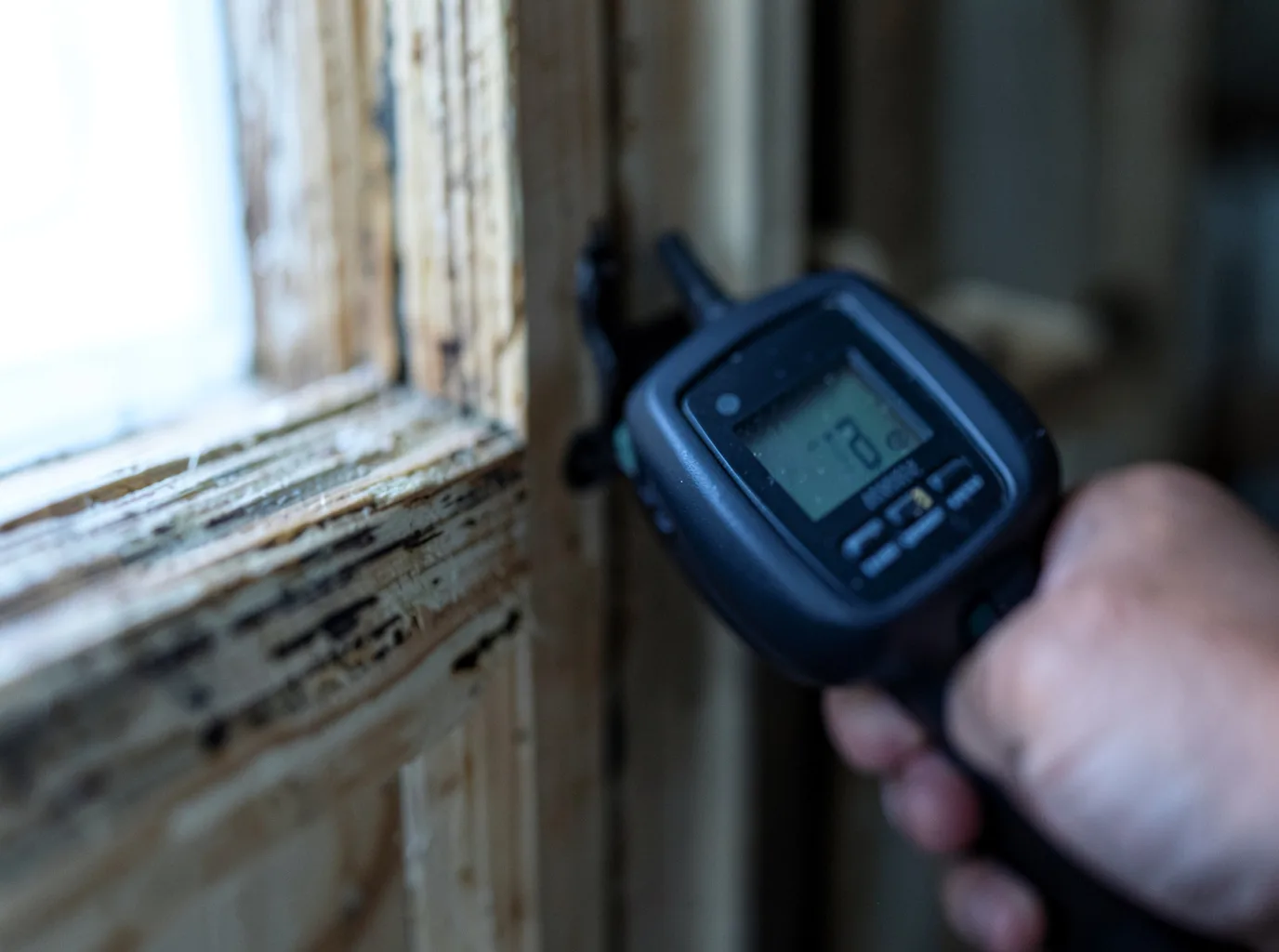 Moisture Inspection And Documentation in Criders, VA